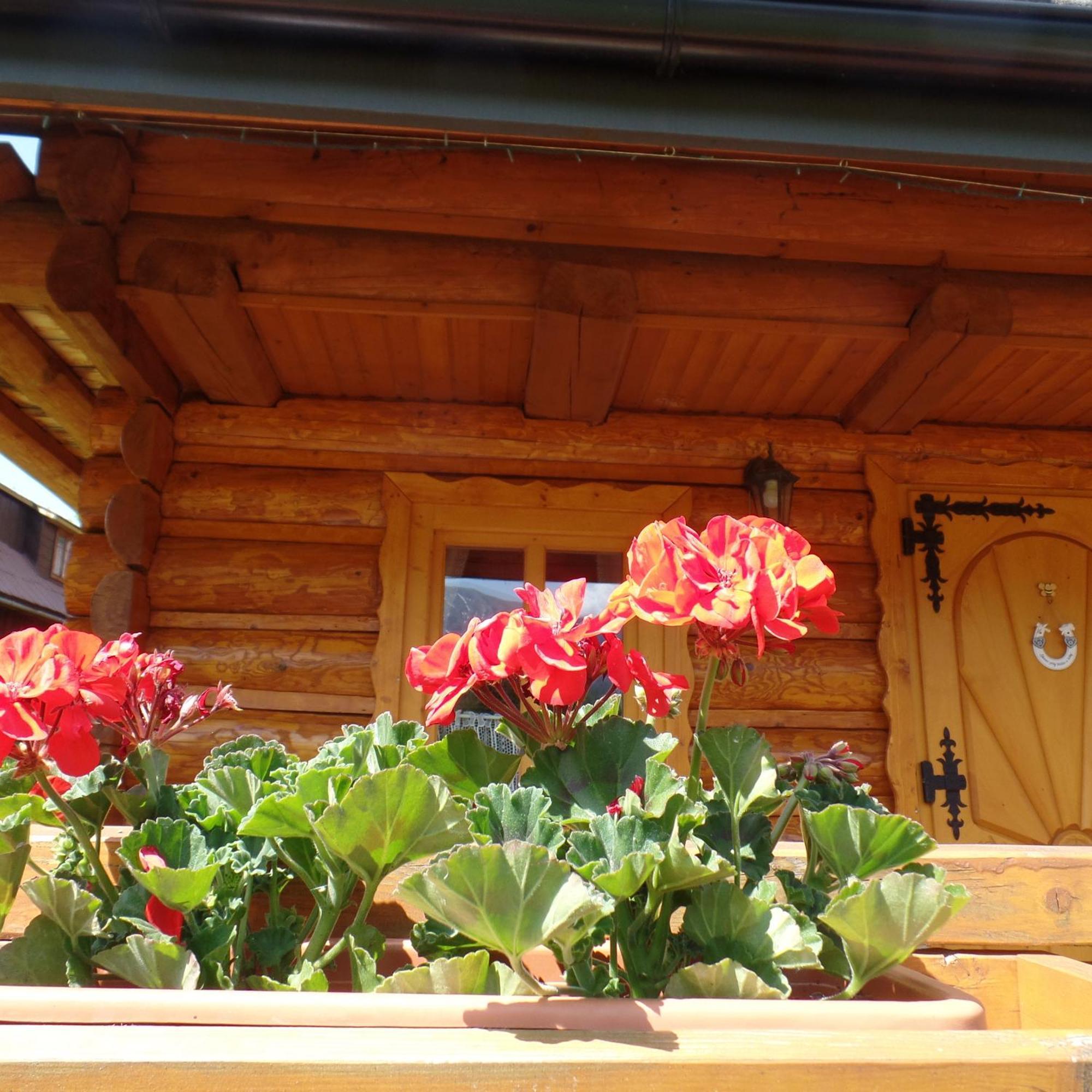 Villa Hute unter Belaner Tatra Ždiar Exterior foto